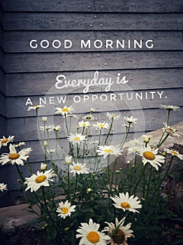 Inspirational quote - Good morning. Everyday is a new opportunity. With background of beautiful white daisy flowers blossom. photo
