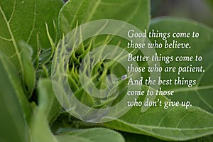 Inspirational quote - Good things come to those who believe. Better things come to those who are patient.