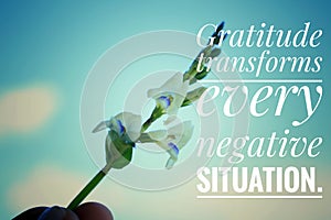 Inspirational quote - Gratitude transforms every negative situation. With flower plant background against bright clear blue sky.