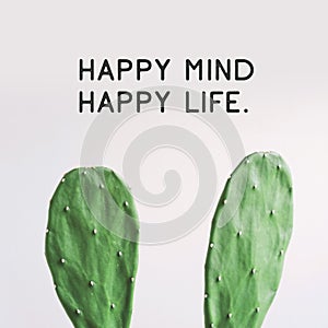 Inspirational quote `Happy Mind Happy Life`. Cactus plant on white background.