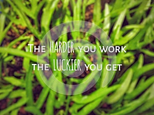 Inspirational Quote - the harder you work the luckier you get text background.