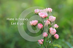 Inspirational quote - Hate is heavy. Let it go. With beautiful pink roses flower blossom in garden on fresh green background.