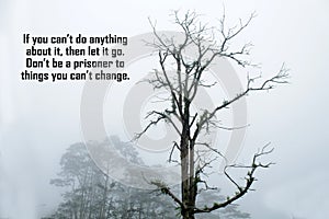 Inspirational quote - If you can`t do anything about it, then let it go. Don`t be a prisoner to things you can`t change.