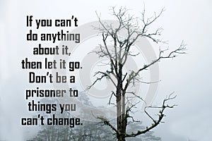 Inspirational quote - If you can`t do anything about it, then let it go. Don`t be a prisoner to things you can`t change.