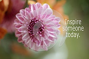 Inspirational quote - Inspire someone today. Motivational words concept on close up of pink dahlia flower background