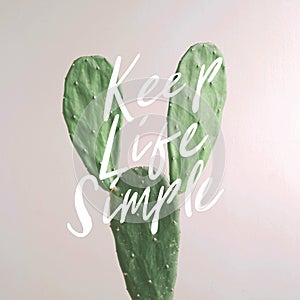 Inspirational quote `Keep Life Simple`. Cactus plant on white background.