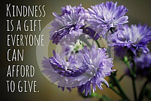 Inspirational quote  - Kindness is a gift everyone can afford to give. With background of blue and purple flowers.