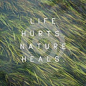Inspirational quote `Life Hurts, Nature Heals`.