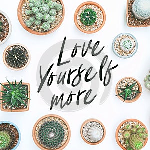 Inspirational quote `Love yourself more`. Cactus plant on white background.