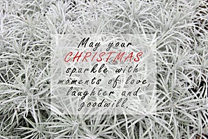 Inspirational quote - May your Christmas sparkle of love, laughter and goodwill.