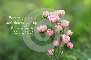Inspirational quote - The more you praise and celebrate your life, the more there is in life to celebrate. photo