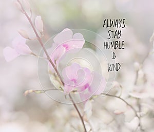 Inspirational quote and motivation background on blurred orchid