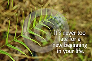 Inspirational quote - It is never too late for  a new beginning in your life. With green young fern leaf growth in forest.