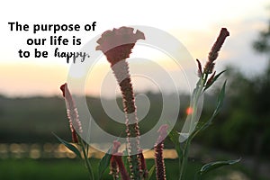 Inspirational quote - The purpose of our life is to be happy. On beautiful background of colorful sunset light in the field.