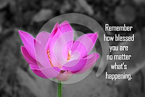 Inspirational quote - Remember how blessed you are no matter what`s happening. With pink lotus flower plant or Nelumbo nucifera i