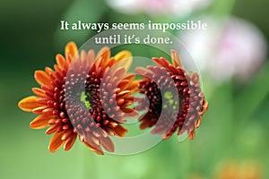 Inspirational quote - It always seems impossible until it is done. Success successful motivational words concept with flower.