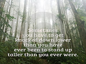 Inspirational quote - Sometimes you have to get knocked down lower than you have ever been to stand up taller than you ever were. photo