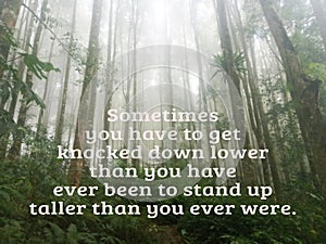 Inspirational quote - Sometimes you have to get knocked down lower than you have ever been to stand up taller than you ever were.