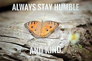 Inspirational quote - Always stay humble and kind. With beautiful orange butterfly on white rustic wooden table background,