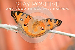 Inspirational quote - Stay positive, and good things will happen. With beautiful butterfly  on rope. Motivational words.