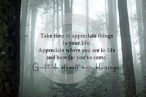 Gratitude quote - Take time to appreciate things in your life. Appreciate where you are in life and how far you have come.