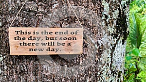 Inspirational quote text on wooden banner about new day. With tree and nature background.