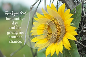 Inspirational quote - Thank you God for another day and for giving me another chance. With beautiful yellow sunflower blossom.