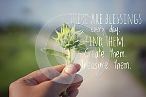 Inspirational quote - There are blessings every day. Find them, create them, treasure them.Young plant of sunflower in hand. photo