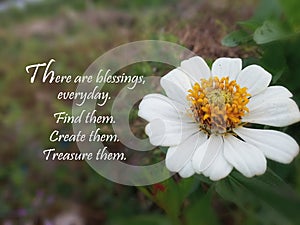 Inspirational quote- There is blessings, everyday. Find them. Create them. Treasure them. With beautiful white  single Sinnia