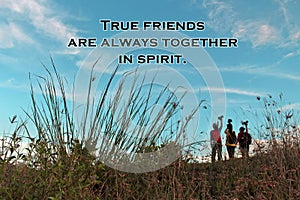 Inspirational quote - True friends are always together in spirit. With meadow background and  blurry happy young women.