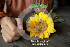 Inspirational quote - trust the magic of new beginnings. With young woman hand, yellow sunflower blossom and its plant.