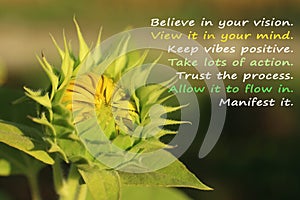 Inspirational quote- Trust the porcess, with baby young sunflower blooming as illustration.