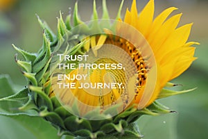 Inspirational quote - Trust the process. Enjoy the journey. With beautiful big sunflower in bloom in the garden closeup on blurry