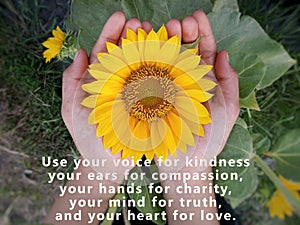 Inspirational quote - Use your voice for kindness, your ears for compassion, your hands for charity, your mind for truth. photo