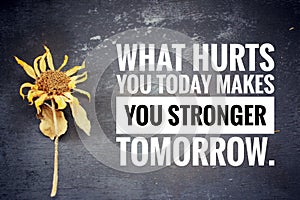 Inspirational quote - What hurt you today makes you stronger tomorrow.  Motivational words concept with  text message.