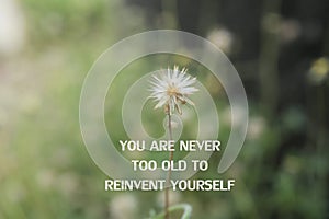 Inspirational quote - You are never too old to reinvent yourself. With white flower on green grass meadow background