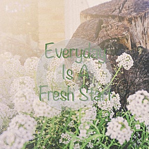 Inspirational quotes â€œ Everyday Is a Fresh Start â€œ on beautiful garden background