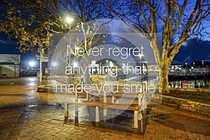 Inspirational quotes - Never regret anything that made you smile