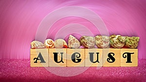 inspirational time concept - word August on wooden blocks with seashells in warm pink vintage background