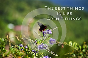 Inspirational words - The best things in life are not things. Butterfly and nature view background.