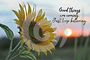 Inspirational words - Better days are coming. You have been through a lot. Now it is time for you to shine. Hope concept.