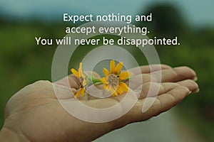 Inspirational words - Expect nothing. Appreciate anything. You will never be disappointed. With two little daisy flowers in hand.