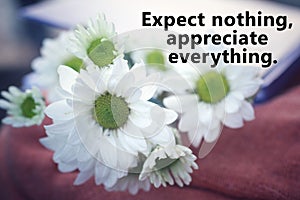 Inspirational words - Expect nothing, appreciate everything. Happiness quote concept with white daisies flower background