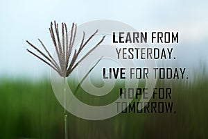 Inspirational words - Learn from yesterday. Live for today. Hope for tomorrow. With wild grass flower on a blue sky background.