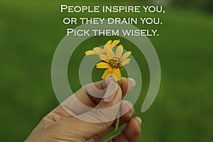 Inspirational words - People inspire you, or they drain you. Pick them wisely. With two beautiful little daisy flowers in hand. photo