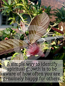 Inspirational words - A simple way to identify spiritual growth is to be aware of how often you are genuinely happy for others.