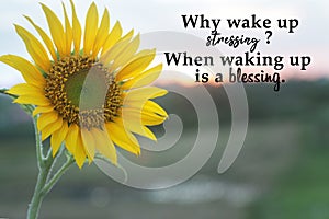 Inspirational words - Why wake up stressing? When waking up is a blessing. Gratefulness and hope concept with sunflower.