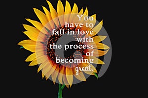 Inspirational words - You have to fall in love with the process of becoming great. Motivational quote with sunflower blossom.
