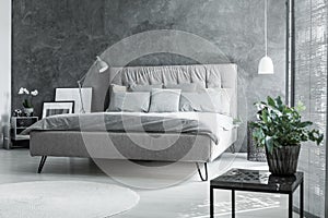 Inspiring grey bedroom with plant