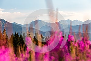 Inspiring Mountains Landscape Panorama, beautiful summer day in Tatras photo